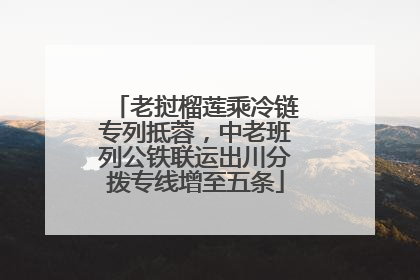 老挝榴莲乘冷链专列抵蓉，中老班列公铁联运出川分拨专线增至五条