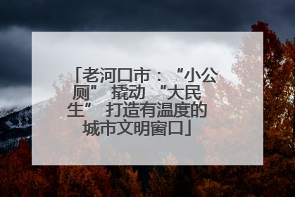 老河口市：“小公厕” 撬动 “大民生” 打造有温度的城市文明窗口
