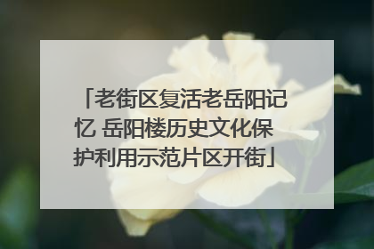 老街区复活老岳阳记忆 岳阳楼历史文化保护利用示范片区开街