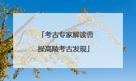 考古专家解读曹操高陵考古发现