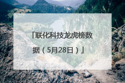 联化科技龙虎榜数据（5月28日）