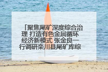 聚焦尾矿深度综合治理 打造有色金属循环经济新模式 张金良一行调研栾川县尾矿库综合治理工作