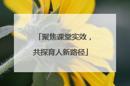 聚焦课堂实效，共探育人新路径