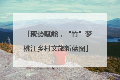 聚势赋能，“竹”梦桃江乡村文旅新蓝图