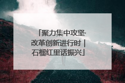 聚力集中攻坚·改革创新进行时｜石榴红里话振兴