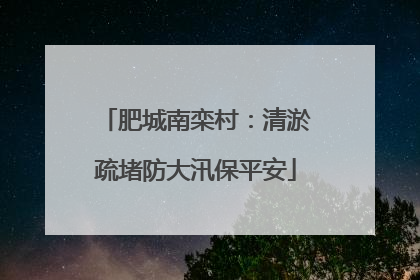 肥城南栾村：清淤疏堵防大汛保平安