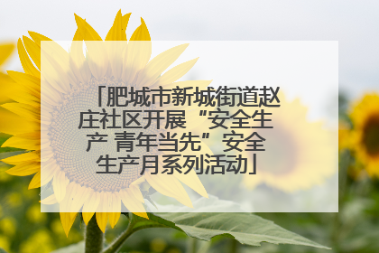肥城市新城街道赵庄社区开展“安全生产 青年当先”安全生产月系列活动