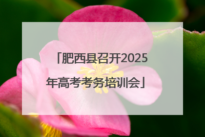 肥西县召开2025年高考考务培训会