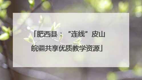 肥西县：“连线”皮山 皖疆共享优质教学资源