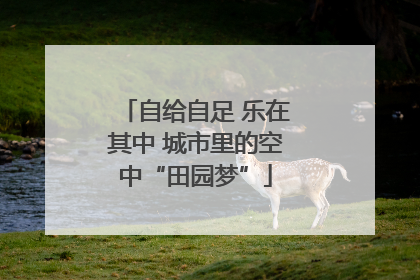 自给自足 乐在其中 城市里的空中“田园梦”