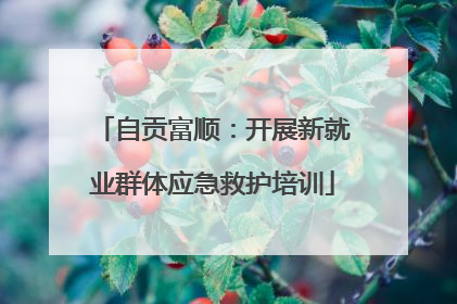 自贡富顺：开展新就业群体应急救护培训