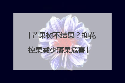 芒果树不结果？抑花控果减少落果危害