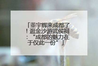 董宇辉来成都了！逛金沙游武侯祠：“成都的魅力在于仅此一份”