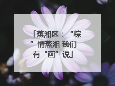 蒸湘区：“粽”情蒸湘 我们有“画”说