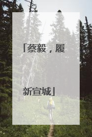 蔡毅，履新宣城