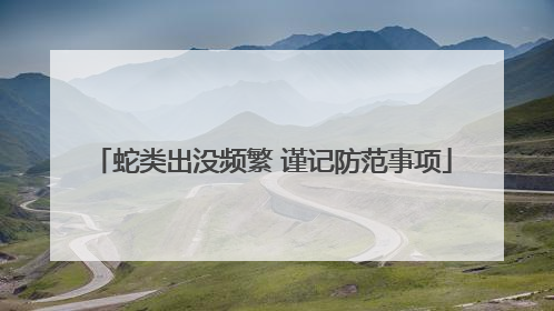 蛇类出没频繁 谨记防范事项