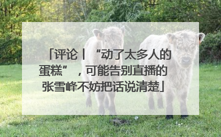 评论丨“动了太多人的蛋糕”，可能告别直播的张雪峰不妨把话说清楚