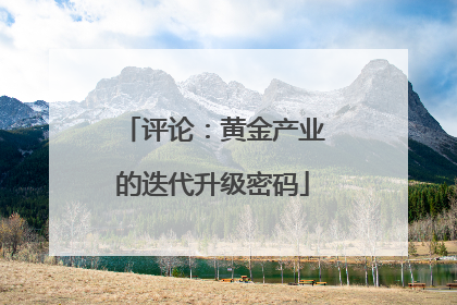 评论：黄金产业的迭代升级密码