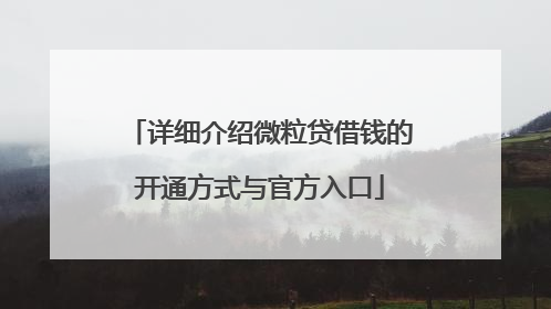 详细介绍微粒贷借钱的开通方式与官方入口