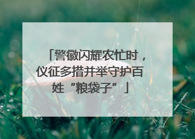 警徽闪耀农忙时，仪征多措并举守护百姓“粮袋子”