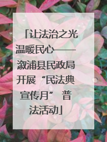 让法治之光温暖民心——溆浦县民政局开展“民法典宣传月” 普法活动