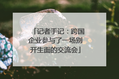 记者手记：跨国企业参与了一场别开生面的交流会