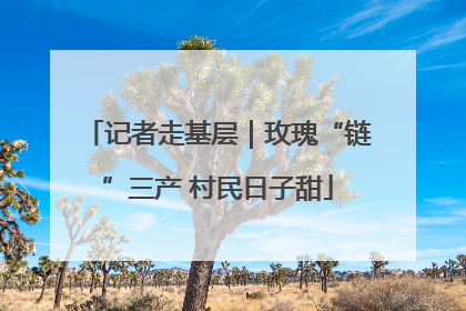 记者走基层｜玫瑰“链”三产 村民日子甜