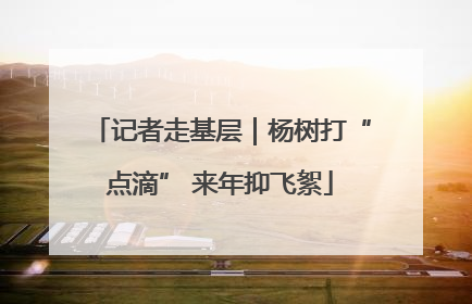 记者走基层｜杨树打“点滴” 来年抑飞絮
