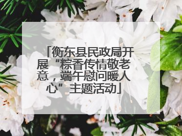 衡东县民政局开展“粽香传情敬老意，端午慰问暖人心”主题活动