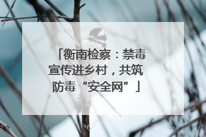 衡南检察：禁毒宣传进乡村，共筑防毒“安全网”