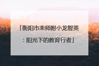 衡阳市耒师附小龙智英：阳光下的教育行者