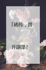 褚伟，晋升副部