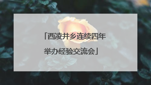 西凌井乡连续四年举办经验交流会
