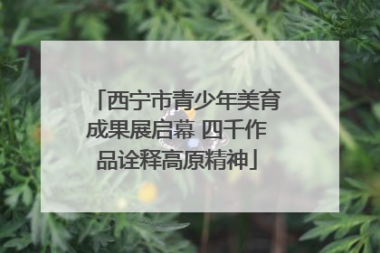 西宁市青少年美育成果展启幕 四千作品诠释高原精神
