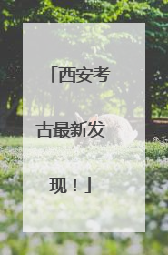 西安考古最新发现！