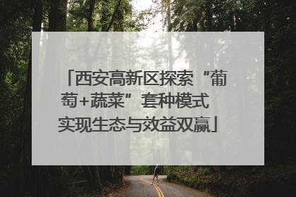 西安高新区探索“葡萄+蔬菜”套种模式 实现生态与效益双赢
