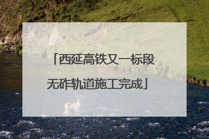 西延高铁又一标段无砟轨道施工完成