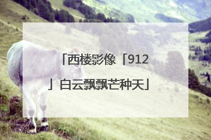 西楼影像「912」白云飘飘芒种天