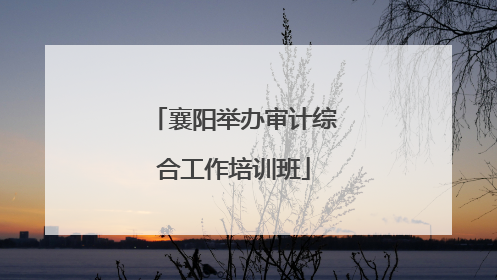 襄阳举办审计综合工作培训班