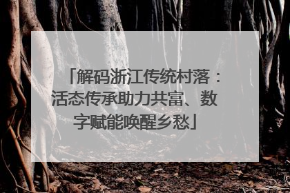 解码浙江传统村落：活态传承助力共富、数字赋能唤醒乡愁