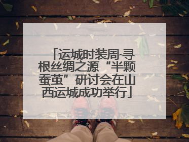 运城时装周·寻根丝绸之源“半颗蚕茧”研讨会在山西运城成功举行