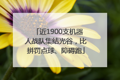 近1900支机器人战队集结光谷，比拼罚点球、障碍跑