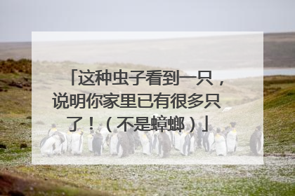 这种虫子看到一只，说明你家里已有很多只了！（不是蟑螂）