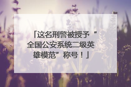这名刑警被授予“全国公安系统二级英雄模范”称号！