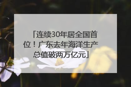 连续30年居全国首位！广东去年海洋生产总值破两万亿元
