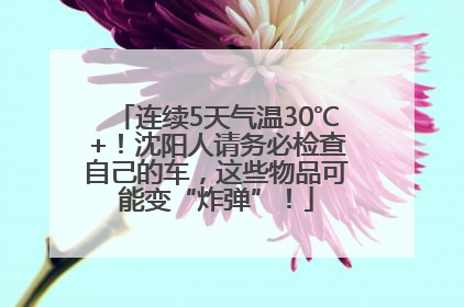 连续5天气温30℃+！沈阳人请务必检查自己的车，这些物品可能变“炸弹”！