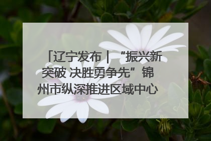 辽宁发布｜“振兴新突破 决胜勇争先”锦州市纵深推进区域中心城市建设 打造高质量发展新增长极