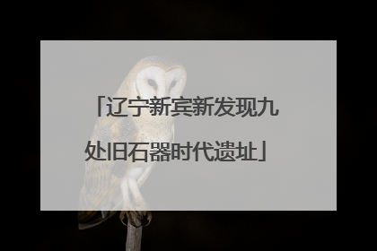 辽宁新宾新发现九处旧石器时代遗址
