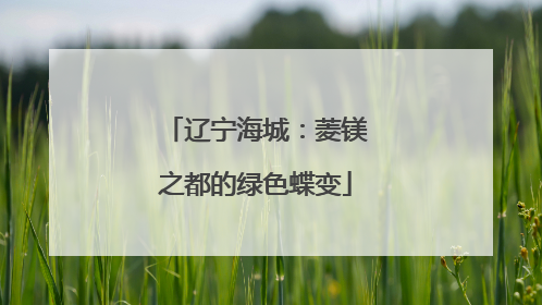 辽宁海城：菱镁之都的绿色蝶变
