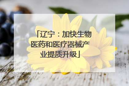 辽宁：加快生物医药和医疗器械产业提质升级